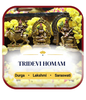 navaratri 2027