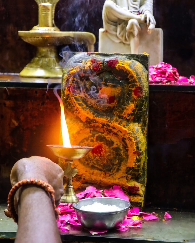 Personalized Sarpa Pooja for Naga Dosha Shanti - Astroadheshrpo